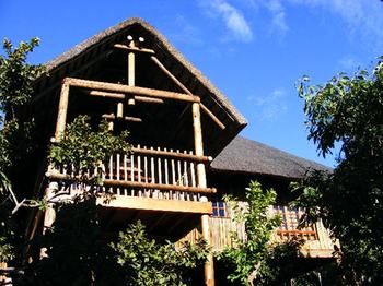 Amafu Forest Lodge 0*