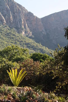 Amafu Forest Lodge 0*