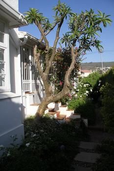 5 Camp Street Guesthouse & Self-catering 3*