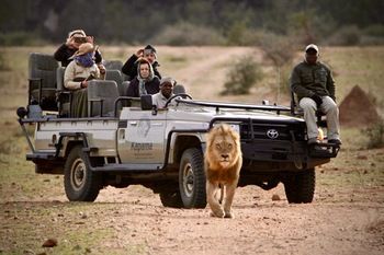 Kapama Buffalo Camp 5*