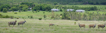 Leeuwenhof Country Lodge & Garden Spa 0*