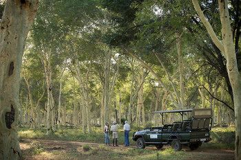 Pafuri Camp by RETURN Africa 3*
