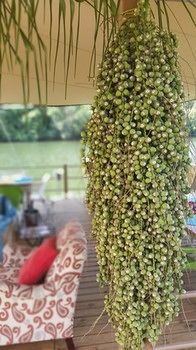 Bambuu Lakeside Lodge 3*