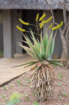 Unembeza Boutique Lodge & Spa 0*