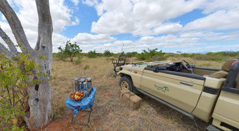 Sausage Tree Safari Camp 4*