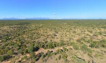 Sausage Tree Safari Camp 4*