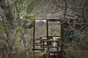 Sausage Tree Safari Camp 4*