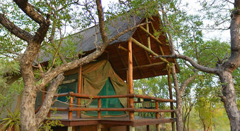 Sausage Tree Safari Camp 4*