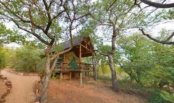 Sausage Tree Safari Camp 4*