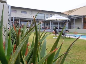 Bushveld Terrace Safari Hotel, Lodge & Spa 4*