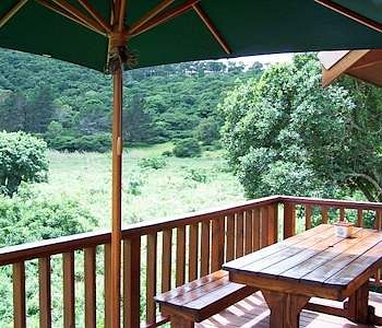 Thunzi Bush Lodge 0*