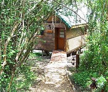 Thunzi Bush Lodge 0*