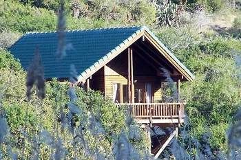 Thunzi Bush Lodge 0*