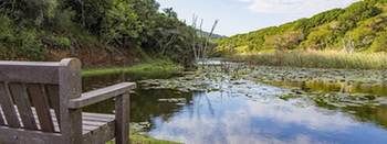 Thunzi Bush Lodge 0*