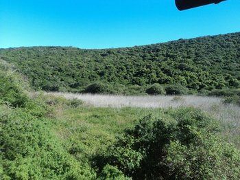 Thunzi Bush Lodge 0*