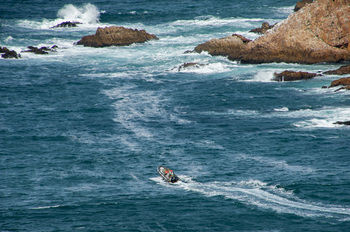 The Mount Knysna 5*