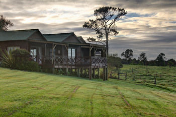 Misty Mountain Reserve 0*