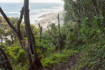 Misty Mountain Reserve 0*