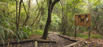 Misty Mountain Reserve 0*