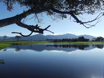 Misty Mountain Reserve 0*