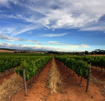 Meerendal Boutique Hotel 4*
