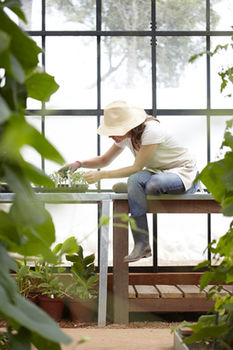 Babylonstoren 5*