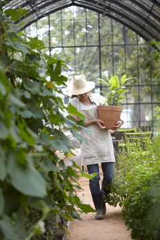 Babylonstoren 5*