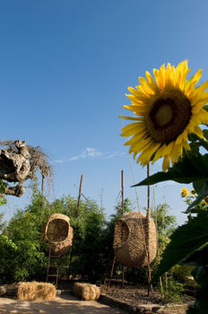 Babylonstoren 5*