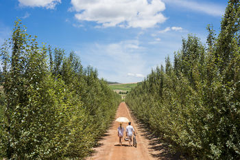 Babylonstoren 5*