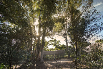 Babylonstoren 5*