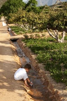 Babylonstoren 5*