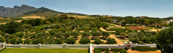 Babylonstoren 5*
