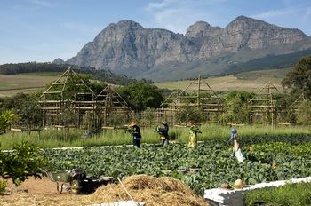 Babylonstoren 5*