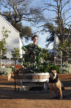 Babylonstoren 5*