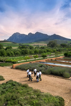 Babylonstoren 5*