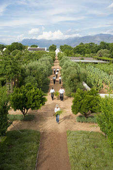 Babylonstoren 5*