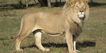 Ukutula Lodge & Game Reserve 0*