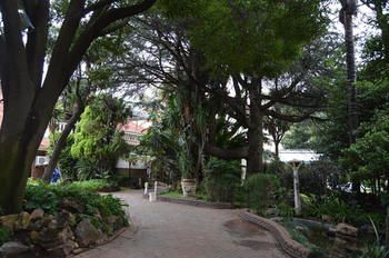 Airport Garden Boutique Hotel 4*
