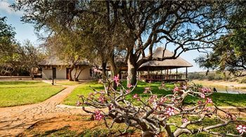 Nyati Safari Lodge 0*