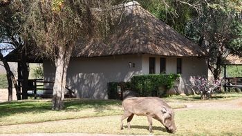 Nyati Safari Lodge 0*