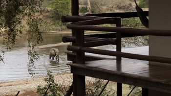 Nyati Safari Lodge 0*