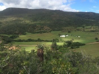 Farm Stays, Here you Will be Able to Relax and Enjoy the Beauty of Nature 3*