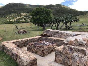 Farm Stays, Here you Will be Able to Relax and Enjoy the Beauty of Nature 3*