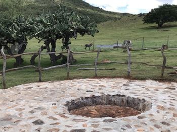 Farm Stays, Here you Will be Able to Relax and Enjoy the Beauty of Nature 3*
