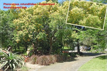 Birds Babble Self Catering Guest House 0*