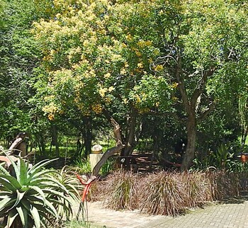 Birds Babble Self Catering Guest House 0*