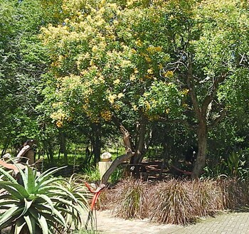 Birds Babble Self Catering Guest House 0*