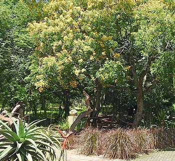 Birds Babble Self Catering Guest House 0*