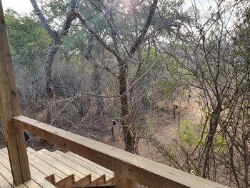 Kingfisher Creek Safari Lodge 3*