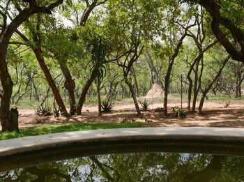 Kingfisher Creek Safari Lodge 3*